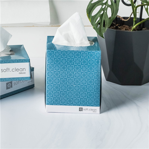 Soft Clean Deluxe Square Tissues